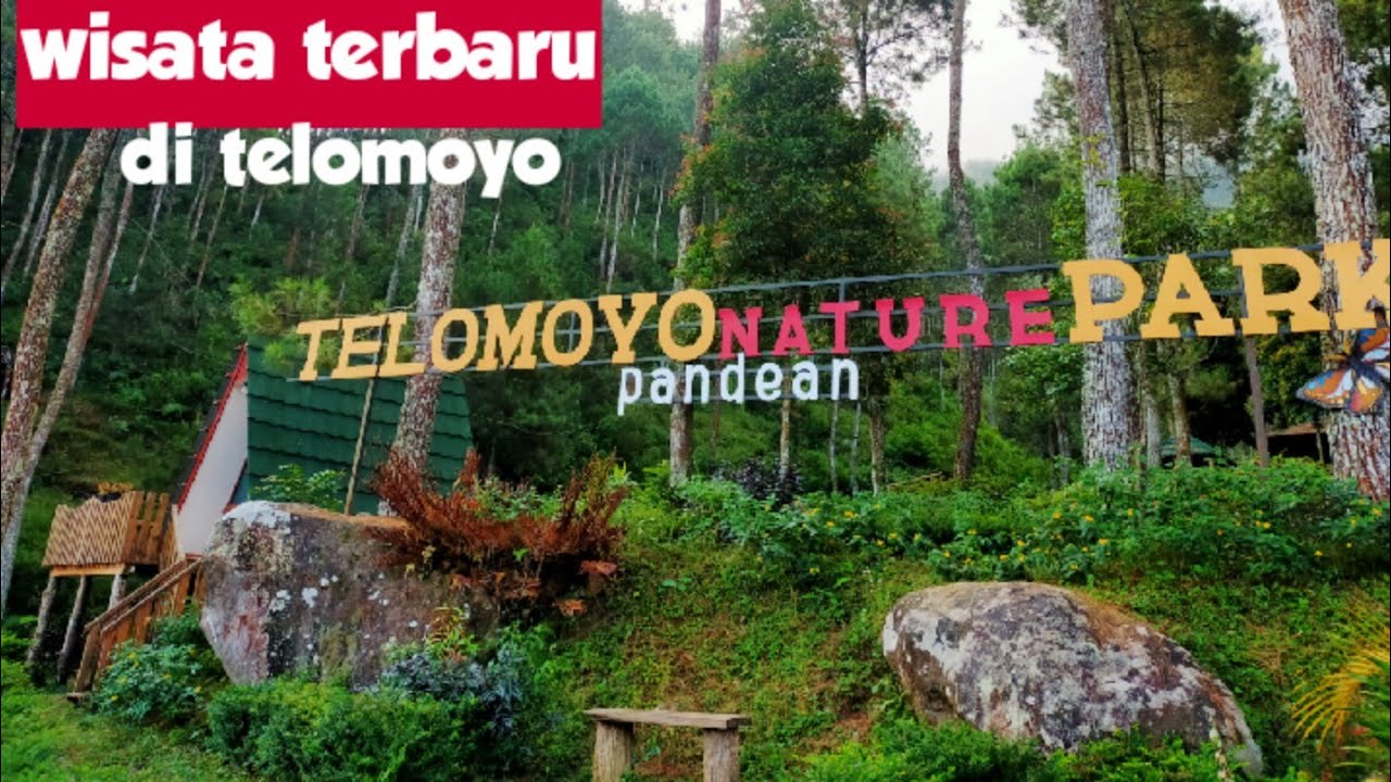 Telomoyo Nature Park: Pesona Alam yang Menakjubkan